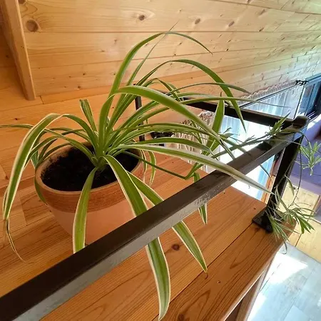 木屋 Myinsolite - Tiny-house, Jacuzzi, Brasero, Piscine 艾格-莫尔特