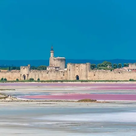 Myinsolite - Tiny-house, Jacuzzi, Brasero, Piscine * Aigues-Mortes