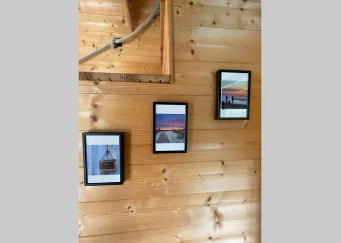 Myinsolite - Tiny-house, Jacuzzi, Brasero, Piscine * Aigues-Mortes